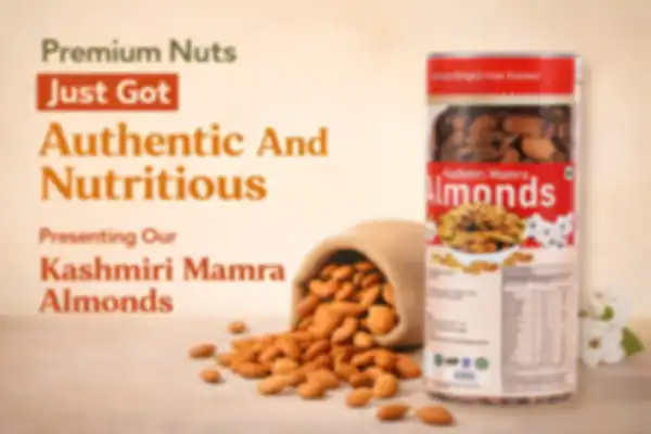 undefined__undefined