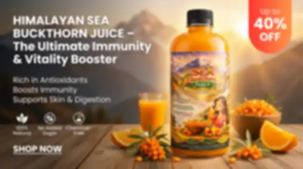 undefined__undefined