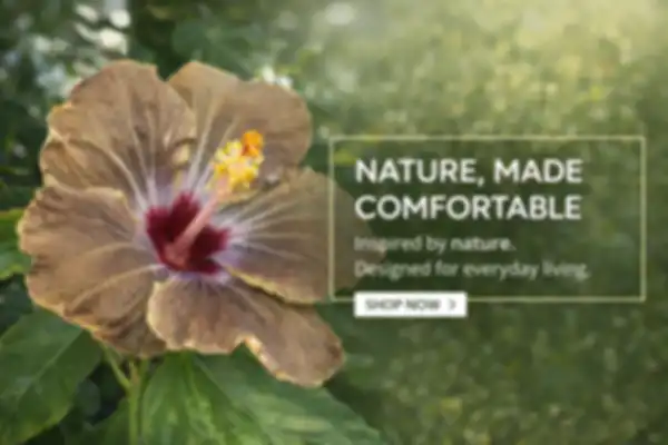 BANNER_undefined__undefined