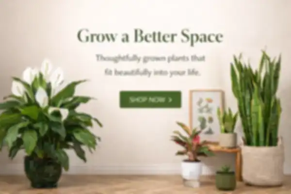 BANNER_undefined__undefined