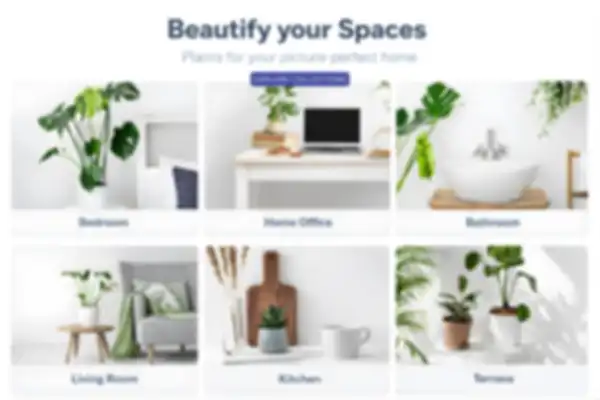 BANNER_undefined__undefined