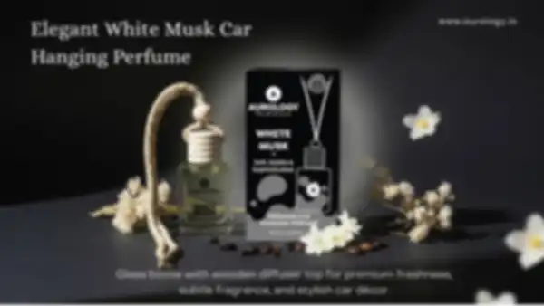 undefined__undefined