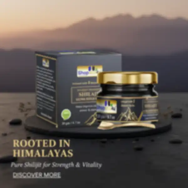 undefined__undefined