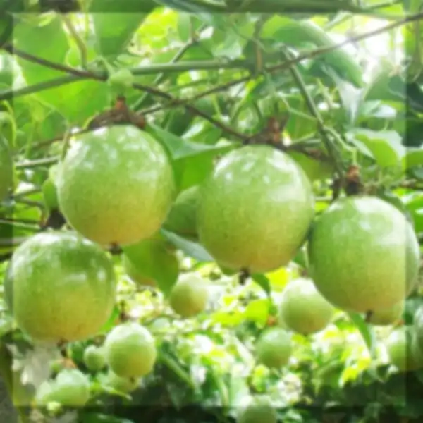 UNCOVER_OUR_LATEST_PRODUCT_RANGE:__undefined