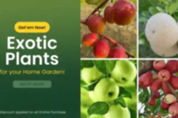 undefined__undefined