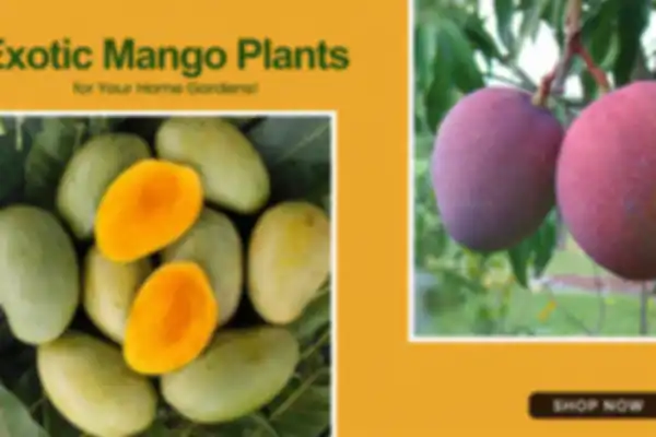 undefined__undefined