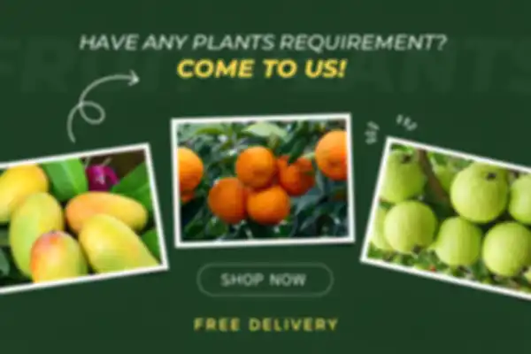 undefined__undefined