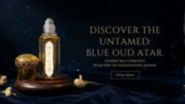 undefined__undefined