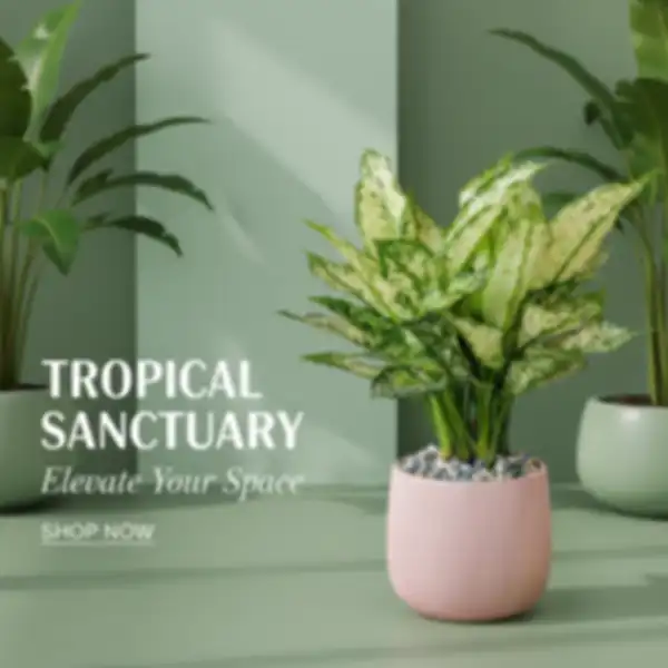 undefined__undefined