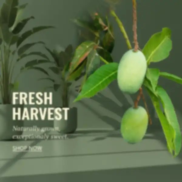 undefined__undefined