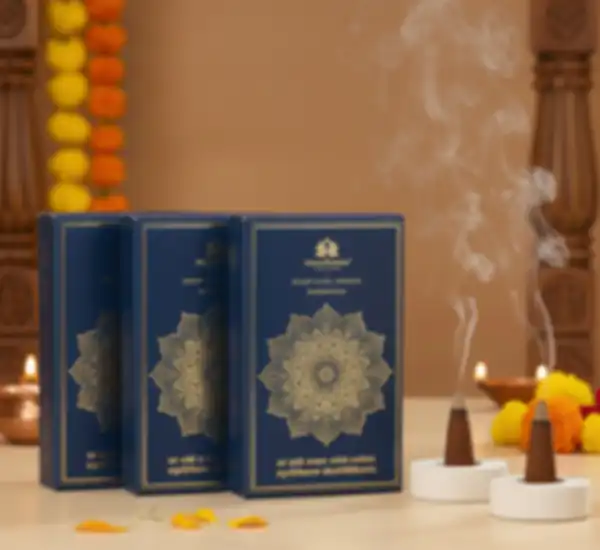 undefined__undefined