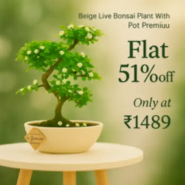 undefined__undefined