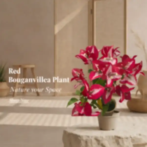 undefined__undefined