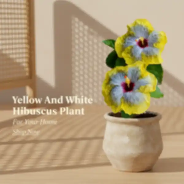 undefined__undefined