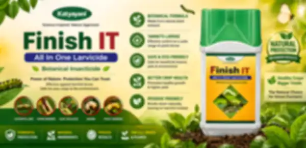 undefined__undefined