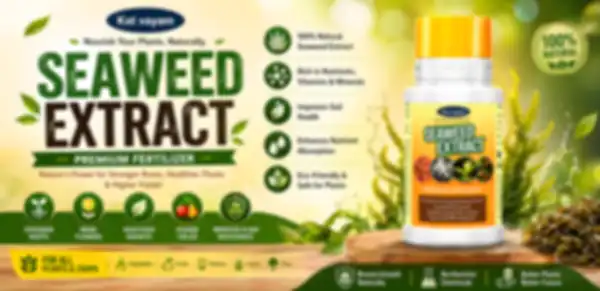 undefined__undefined