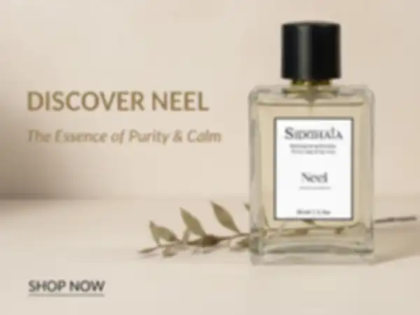 undefined__undefined