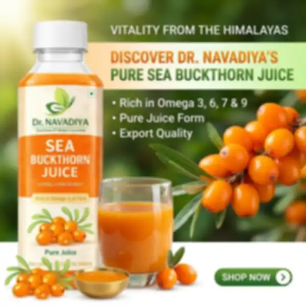 undefined__undefined