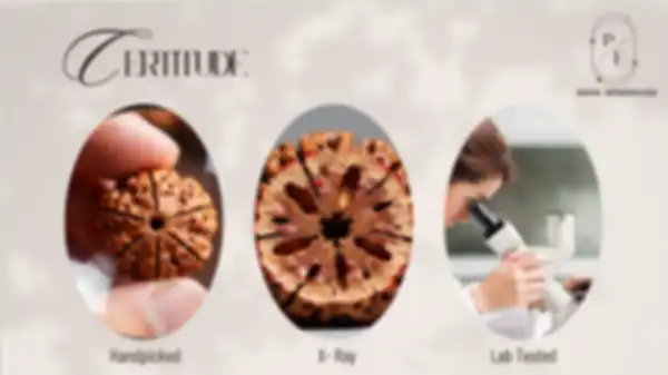 undefined__undefined