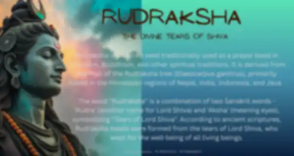 undefined__undefined