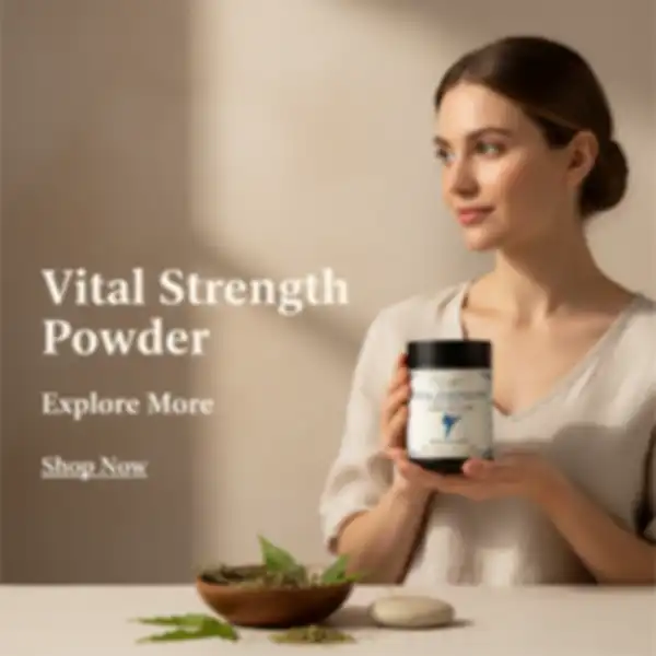 undefined__undefined