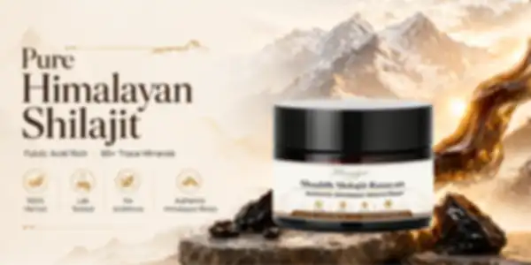 undefined__undefined