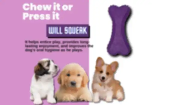 BANNER_undefined__undefined