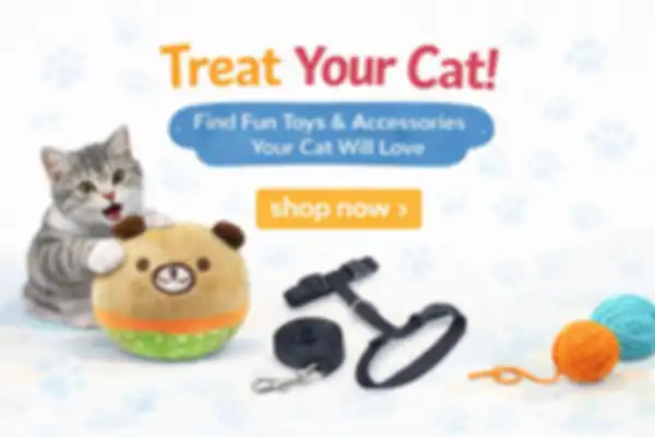 undefined__undefined