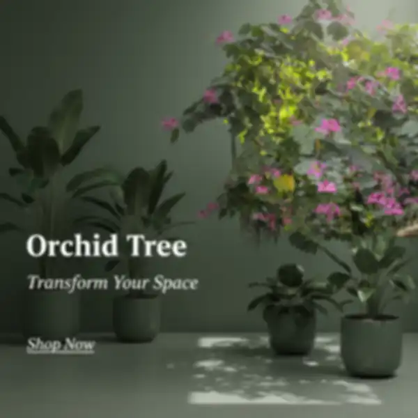 undefined__undefined