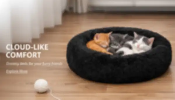 undefined__undefined