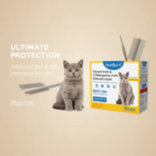 undefined__undefined