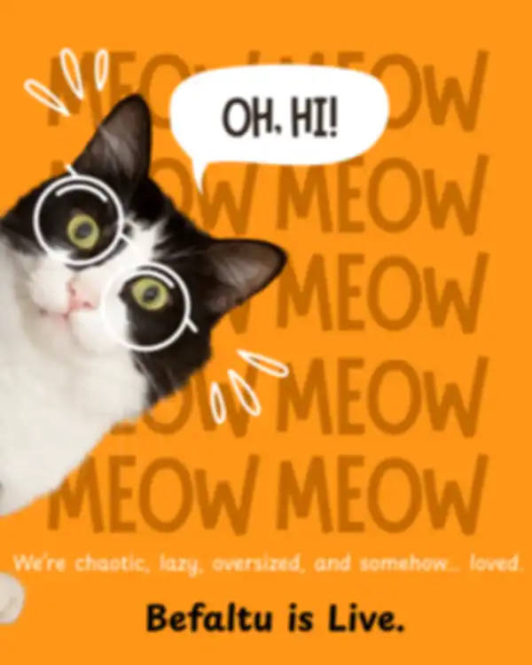 undefined__undefined