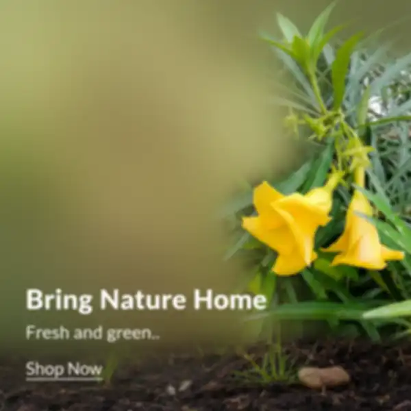 BANNER_undefined__undefined