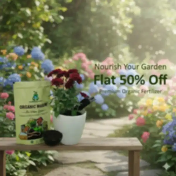 undefined__undefined