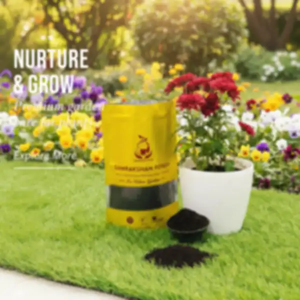 undefined__undefined