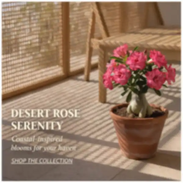 undefined__undefined