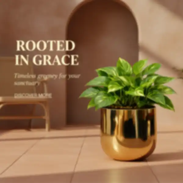 undefined__undefined