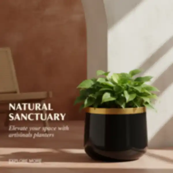 undefined__undefined