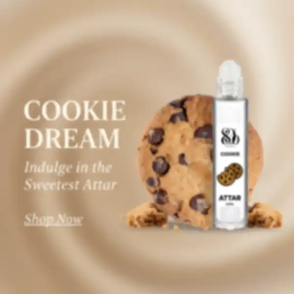 BANNER_undefined__undefined