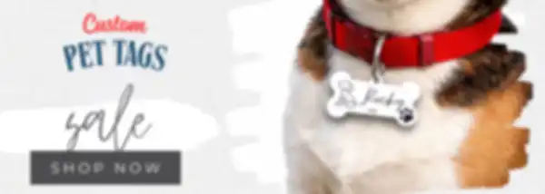 CUSTOMIZATION_undefined__undefined