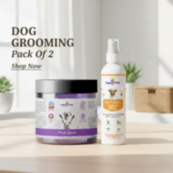 undefined__undefined