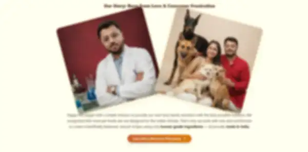 undefined__undefined