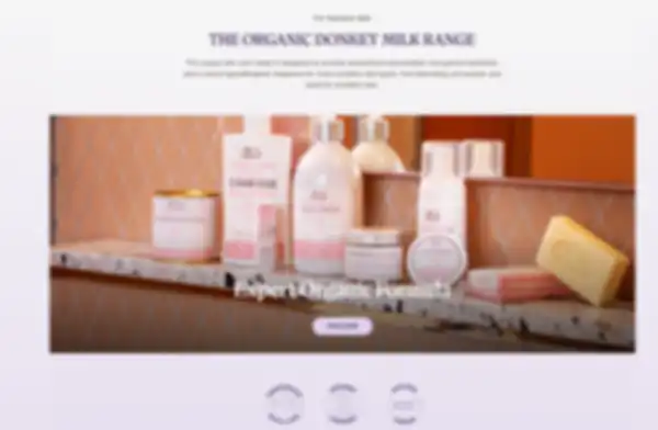 undefined__undefined