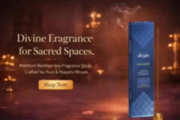 undefined__undefined