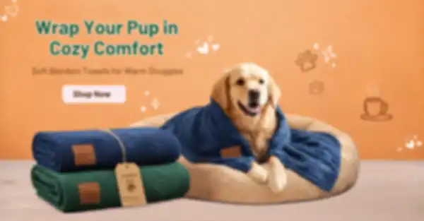 Banner2_undefined__undefined