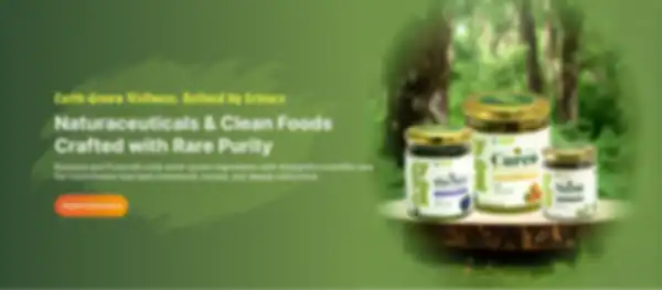 undefined__undefined