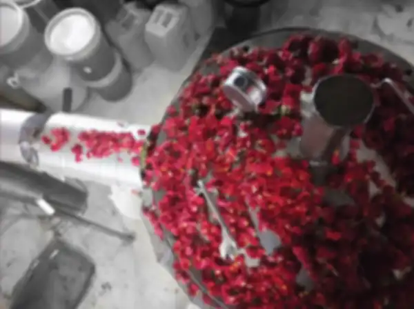 PUREST_ESSENTIAL_OILS_CRAFTED_FROM_CUTTING_EDGE_ENHANCED_STEAM_DISTILLATION__undefined