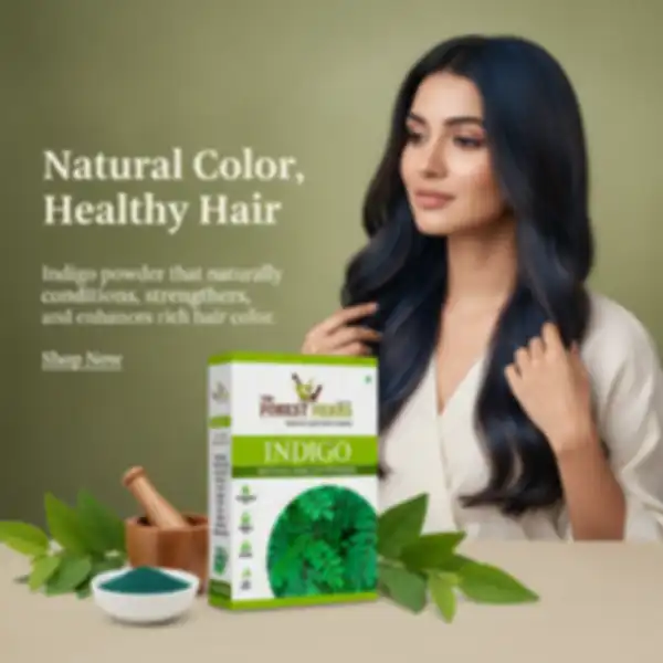 BANNER_undefined__undefined