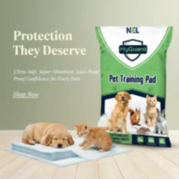 undefined__undefined