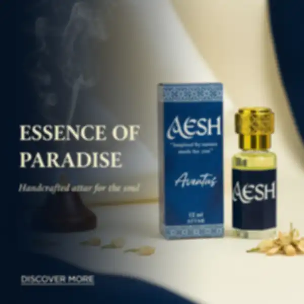 undefined__undefined